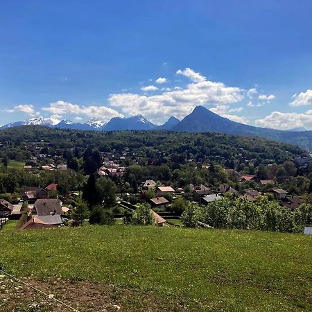 Cabane Pour Vos Vacances A 190M Du Lac D'Annecy Menthon-Saint-Bernard Eksteriør billede
