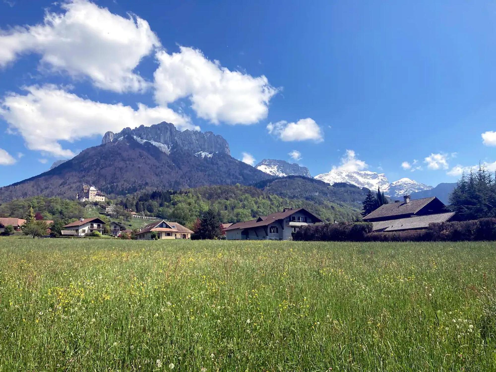 Cabane Pour Vos Vacances A 190M Du Lac D'Annecy Menthon-Saint-Bernard Eksteriør billede