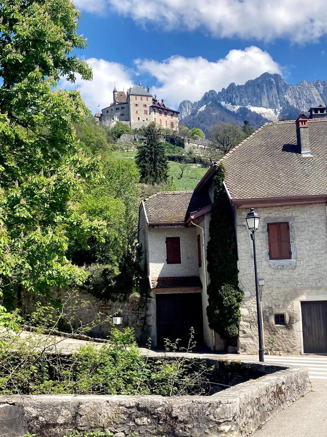 Cabane Pour Vos Vacances A 190M Du Lac D'Annecy Menthon-Saint-Bernard Eksteriør billede